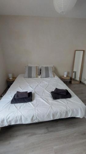 - un grand lit blanc avec 2 oreillers noirs dans l'établissement Appartement T3 proche Théâtre Antique, à Orange