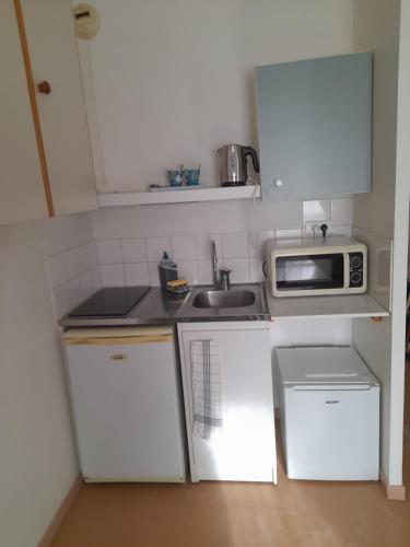 une petite cuisine avec un évier et un micro-ondes dans l'établissement Le fifty, à Bourges