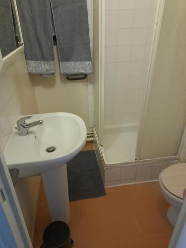 une salle de bain avec un lavabo, une douche et des toilettes dans l'établissement Le fifty, à Bourges