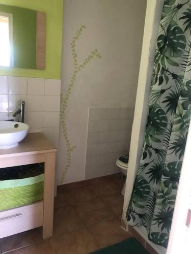 La salle de bains est pourvue d'un lavabo, de toilettes et d'un rideau de douche. dans l'établissement Très beau T2 dans mas ., à Boisset-et-Gaujac