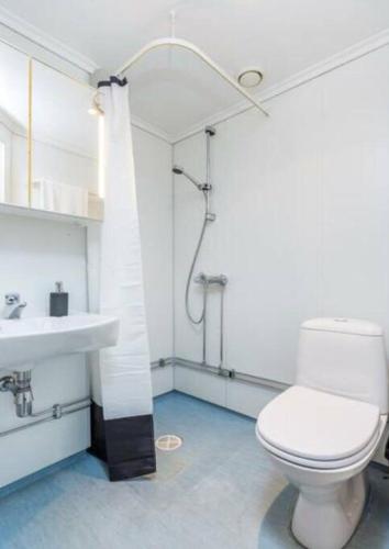 a bathroom with a toilet and a sink at Studio apt close to Airport in Garder