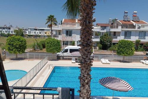 a palm tree with an umbrella next to a swimming pool at Kundu'da Havuzlu Bahçeli Villa in Antalya