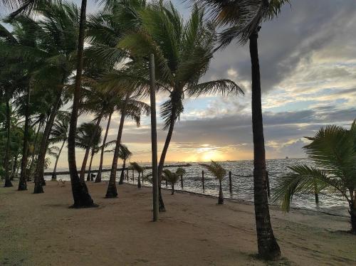 a group of palm trees on a beach with the ocean at Lagoa dourada - Ilha de Itaparica - Salvador da Bahia - Club Med in Vera Cruz de Itaparica