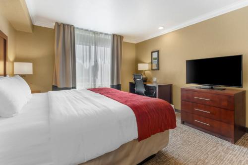 a hotel room with a bed and a flat screen tv at Comfort Inn Arcata in Arcata