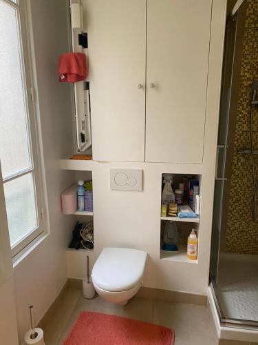 a small bathroom with a toilet and a shower at Studio Marais Notre Dame in Paris