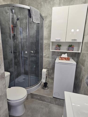 a bathroom with a shower and a toilet and a sink at Apartamenty KoktajLOVE in Kielce