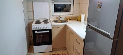 Kuchyň nebo kuchyňský kout v ubytování Planinska kuća Jerotijević