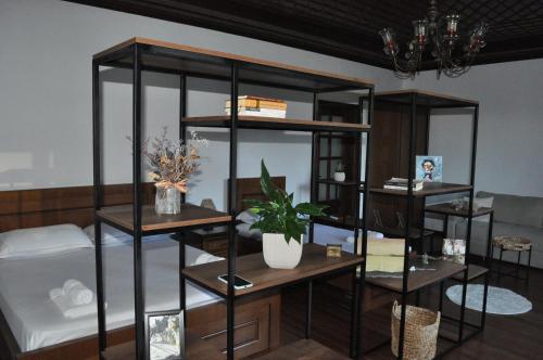Zimmer mit Regalen mit Pflanzen und einem Sofa in der Unterkunft Timber Guest House in Berat