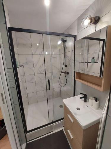 une salle de bain avec douche et lavabo dans l'établissement Logement proche Paris Stade de France CDG airport-idéal J-O, à Aubervilliers