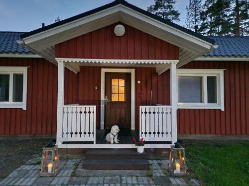 um cão sentado no alpendre de uma casa vermelha em Lomatalo Honkamäki 