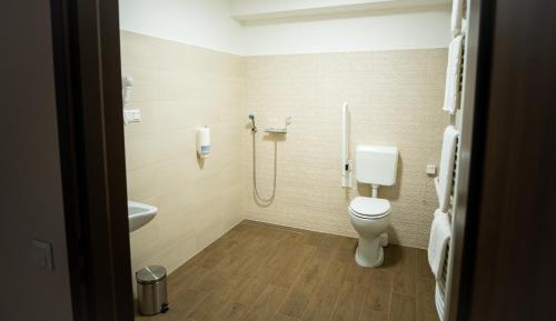 a bathroom with a toilet and a shower at Elixír Panzió in Nyírbátor
