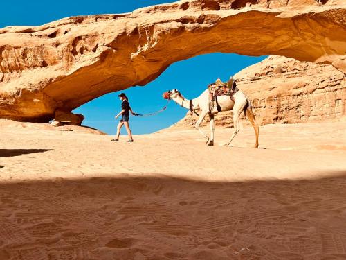 a woman walking a camel in the desert at Rum Roza luxury camp in Wadi Rum