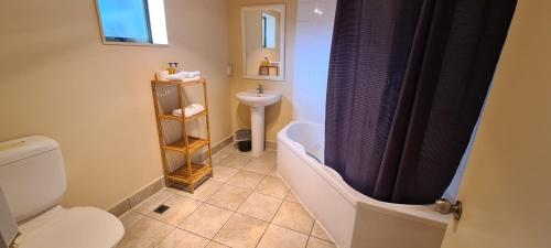 a bathroom with a toilet and a sink at New Castle Motor Lodge in Rotorua