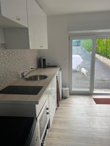 une cuisine avec un évier et un chien donnant sur la fenêtre dans l'établissement DisneylandParis Cosy indépendance, à Chalifert