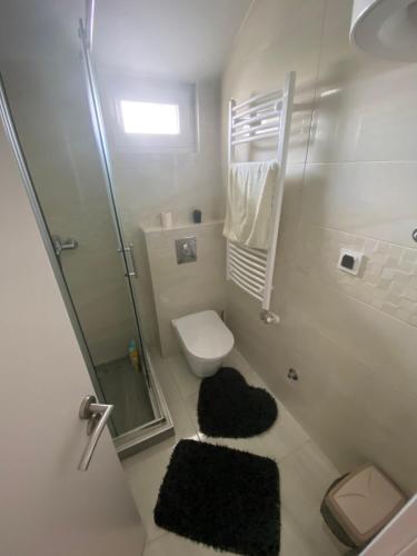 een badkamer met een toilet en een douche en tapijten bij Apartman Una in Čačak