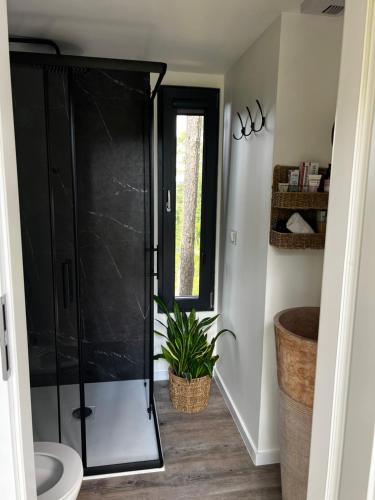 łazienka z prysznicem z rośliną w obiekcie Brama Do Lasu - Domek w Koronach Drzew w Kielcach