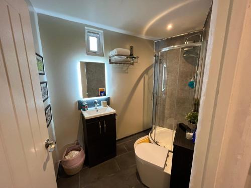 ein Bad mit einer Dusche, einem WC und einem Waschbecken in der Unterkunft Modern, Gr Floor 1 bed, bathroom, garden & private entry. in Cambridge
