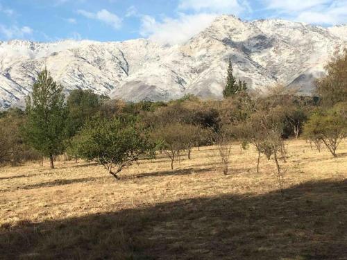 a field with trees and snowy mountains in the background at La Casita en La Juni in San Javier