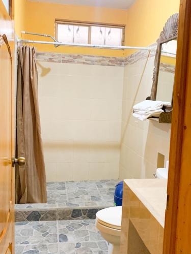 a bathroom with a toilet and a shower at Casa Esperanza in Panajachel