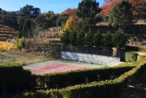 a tennis court in the middle of a garden at Quinta de Travanca - Casa da Eira in Baião