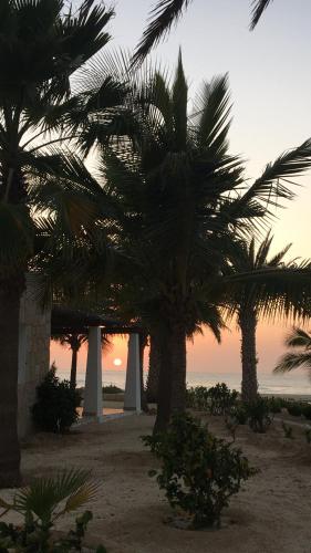 a group of palm trees on the beach at sunset at Beach Villa am Praia de Chaves, Boa Vista, Cabo Verde in Boa Ventura