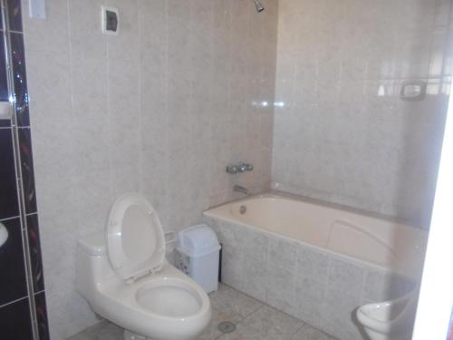 a bathroom with a toilet and a bath tub at hostal andina joya in Puno