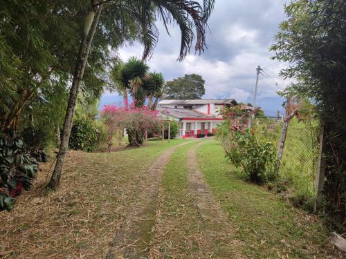 a dirt road in front of a house with trees at FINCA LA FORTALEZA in Santa Rosa de Cabal