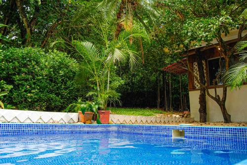 a swimming pool in front of a house with trees at Hacienda Sarah in Nosara