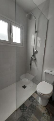 un bagno bianco con wc e doccia di Mi refugio en el mar a Playa Honda
