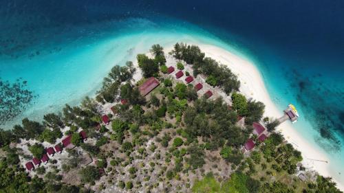 an island with houses and trees on a beach at Andau Dive Resort Raja Ampat in Tapokreng