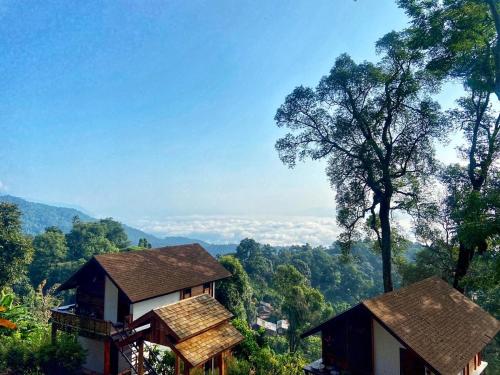 a house on a hill with trees in the background at Baan Nhuer Mek บ้านเหนือเมฆ Coffee and Desk on the Cloud in Ban Pang Klang