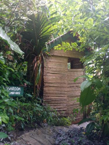 Un jardín fuera de Berkey's Jungle Paradise Resort