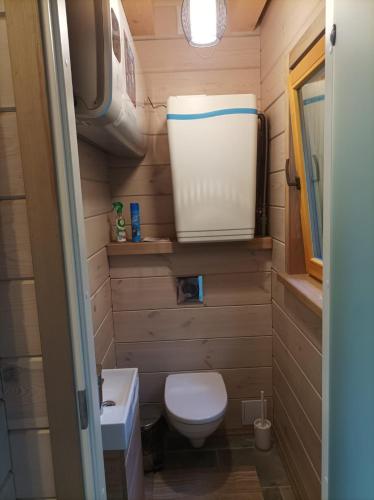 a small bathroom with a toilet and a sink at Pirts Jaunakmeni in Priežmale