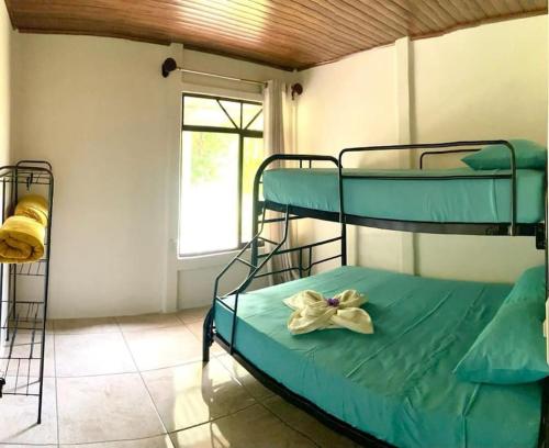 Cette chambre comprend 2 lits superposés et une fenêtre. dans l'établissement Casa Montaña & Spa Pital de San Carlos Costa Rica, à Pital