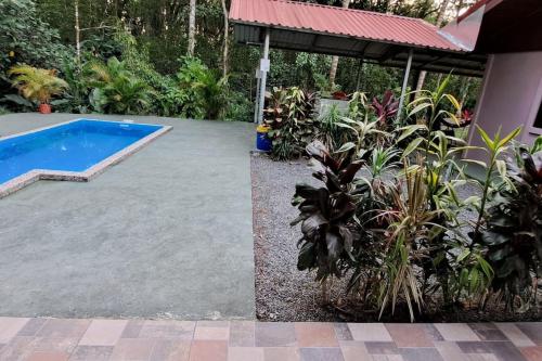 une arrière-cour avec une piscine et quelques plantes dans l'établissement Casa Montaña & Spa Pital de San Carlos Costa Rica, à Pital