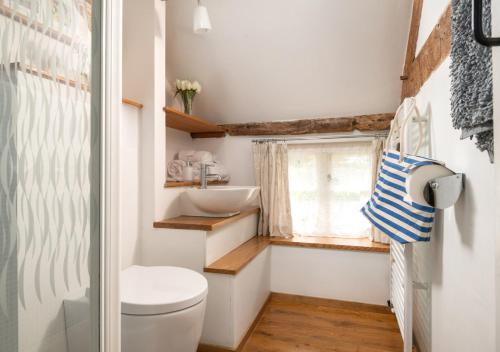 a bathroom with a toilet and a sink at The Granary in Rhayader