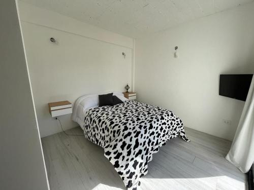 maipu loft – Photos 2