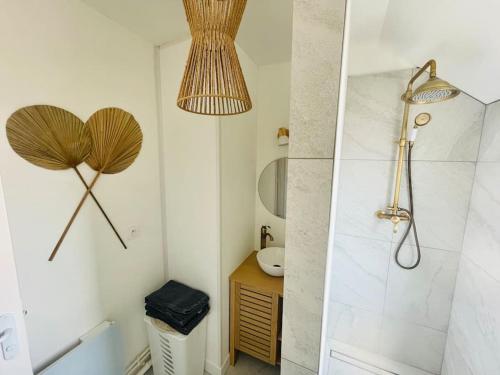 a bathroom with a shower and a sink at Confort et Nature à Berck-Plage - détente ou travail - wifi in Berck-sur-Mer