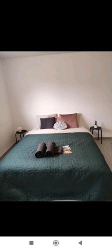 - un lit avec une couette et des oreillers verts dans l'établissement La maison d'Elise, à Solesmes