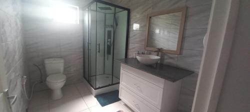 La salle de bains est pourvue de toilettes, d'un lavabo et d'une douche. dans l'établissement Duplex Melville, à Goodlands