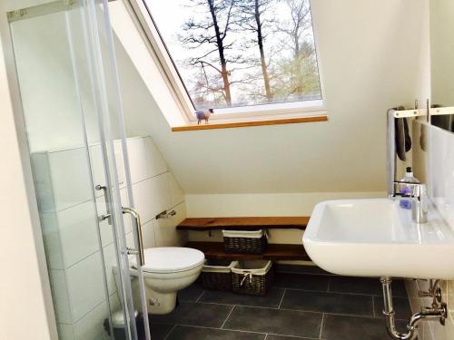 La salle de bains est pourvue de toilettes, d'un lavabo et d'une fenêtre. dans l'établissement Storchennest am Dümmer, à Lembruch