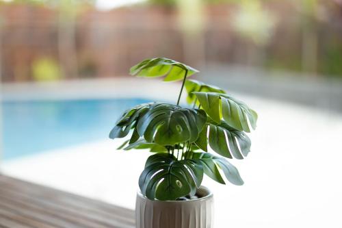 Piscina en o cerca de 4BR Smithfield Serenity; Pool, BBQ & Pool Table