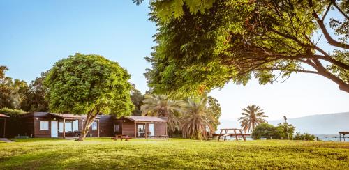 a house in a field with a tree at Daria- Authentic Israeli Experience in Samra