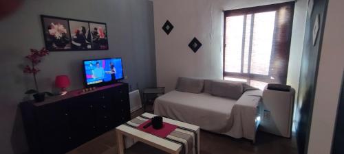 Una sala de estar con una cama y un televisor. en Mesones 31, en Granada