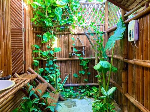 a gardenificialificialificialificialificialificialificialificialificialificialificialificialificial em Tongo Hill Cottages em Moalboal