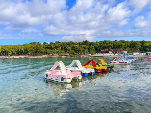 Naturlandskabet i nærheden af lejligheden