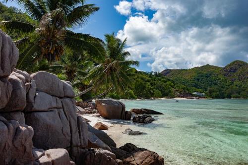 a beach with rocks and palm trees and the ocean at Cote Mer villa in Baie Sainte Anne