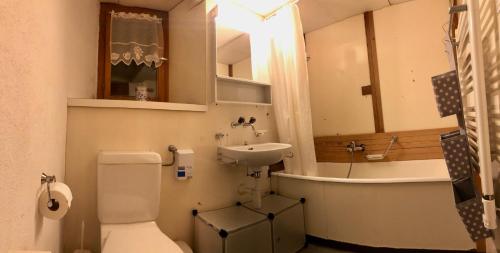 La salle de bains est pourvue de toilettes, d'un lavabo et d'une baignoire. dans l'établissement Haushälfte Ober Misanenga, à Obersaxen