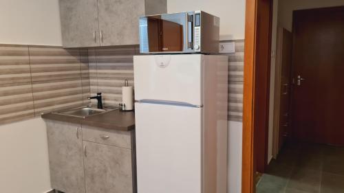 a white refrigerator with a microwave on top of it at HÉDER APARTMANOK in Balatonfenyves
