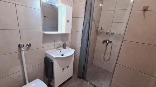 a bathroom with a shower and a toilet and a sink at HÉDER APARTMANOK in Balatonfenyves